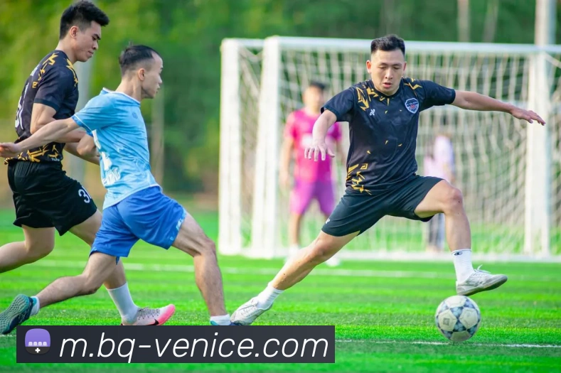 多媒体互动体验